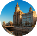 liver-building