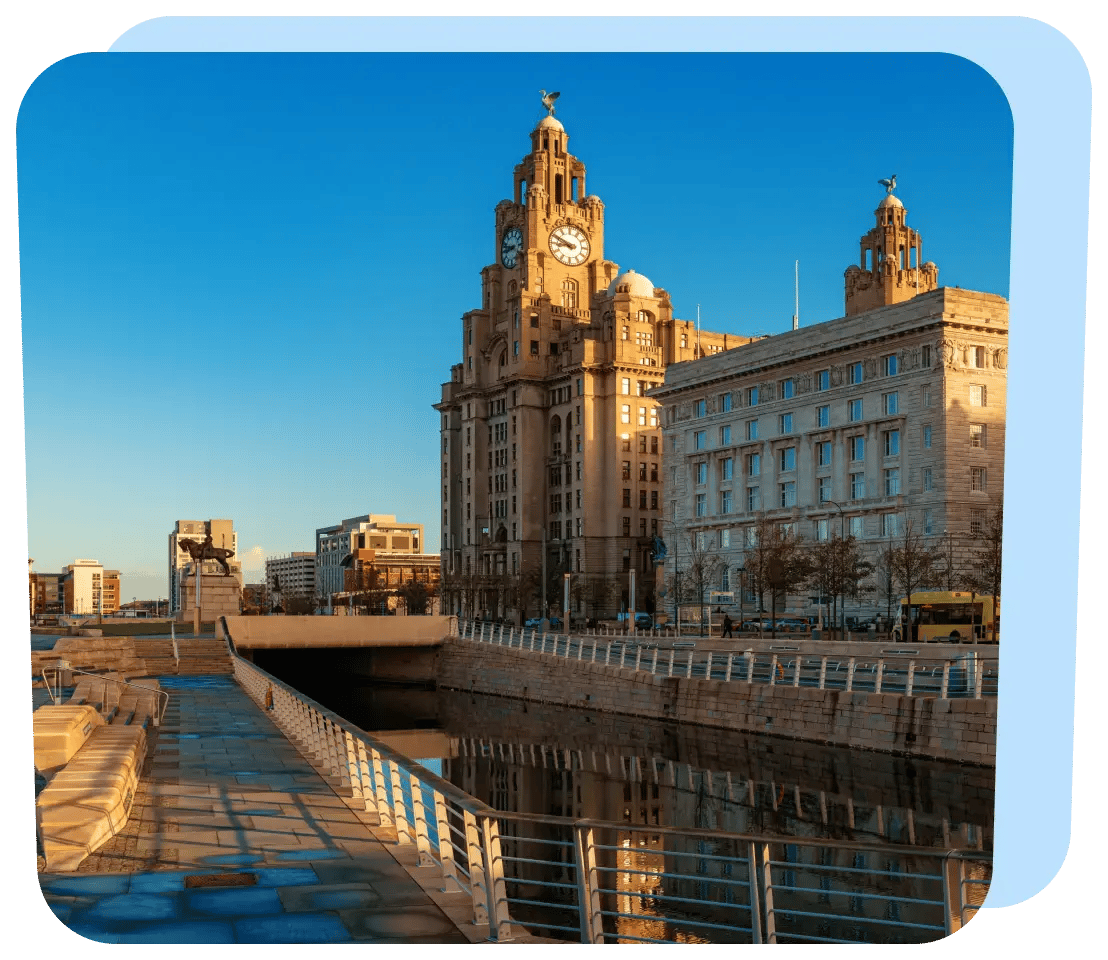 liver-building